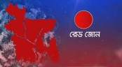 দেশের আরও ১০ জেলাকে রেড জোন ঘোষণা

