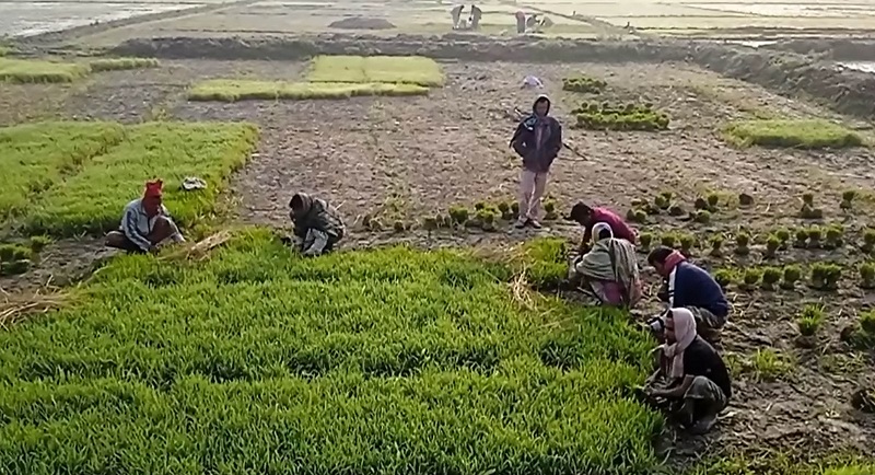 কুড়িগ্রামে দেশের সর্বনিম্ন তাপমাত্রা
