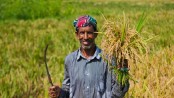 জাতীয় ‘কৃষিবিদ দিবস’ আজ