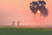 সপ্তাহ শেষে বাড়বে তাপমাত্রা
