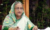 পুতুলের অক্লান্ত প্রচেষ্টায় দেশে-বিদেশ অটিজমের গুরুত্ব বেড়েছে: প্রধানমন্ত্রী