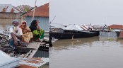 নেত্রকোনায় পানিবন্দি ৭ লাখ মানুষ, বিশুদ্ধ পানি-খাবার সংকট কুড়িগ্রামে
