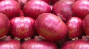 ভারত থেকে পেঁয়াজ আমদানির পরামর্শ