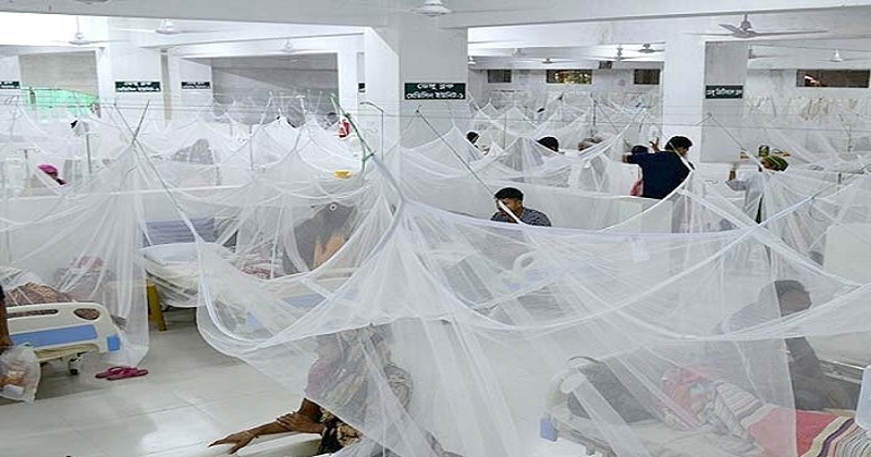 ডেঙ্গুতে আরও ৩ জনের মৃত্যু, ভর্তি ৪৮২