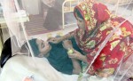 ডেঙ্গুতে এক দিনে ৮ জনের মৃত্যু
