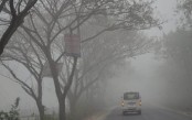 রাতে পড়বে কুয়াশা, শীত নিয়ে নতুন বার্তা
