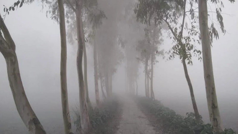 ঘন কুয়াশা, ফের তাপমাত্রা নিয়ে দুঃসংবাদ
