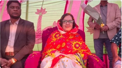 দল ফোনে বলে ’আসুন মন্ত্রীত্ব দিব, আসন ছেড়ে দিন’: রুমিন ফারহানা